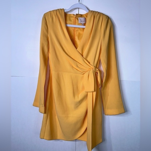 Cinq à Sept Sierra Wrap Mini Dress - Picture 6 of 12